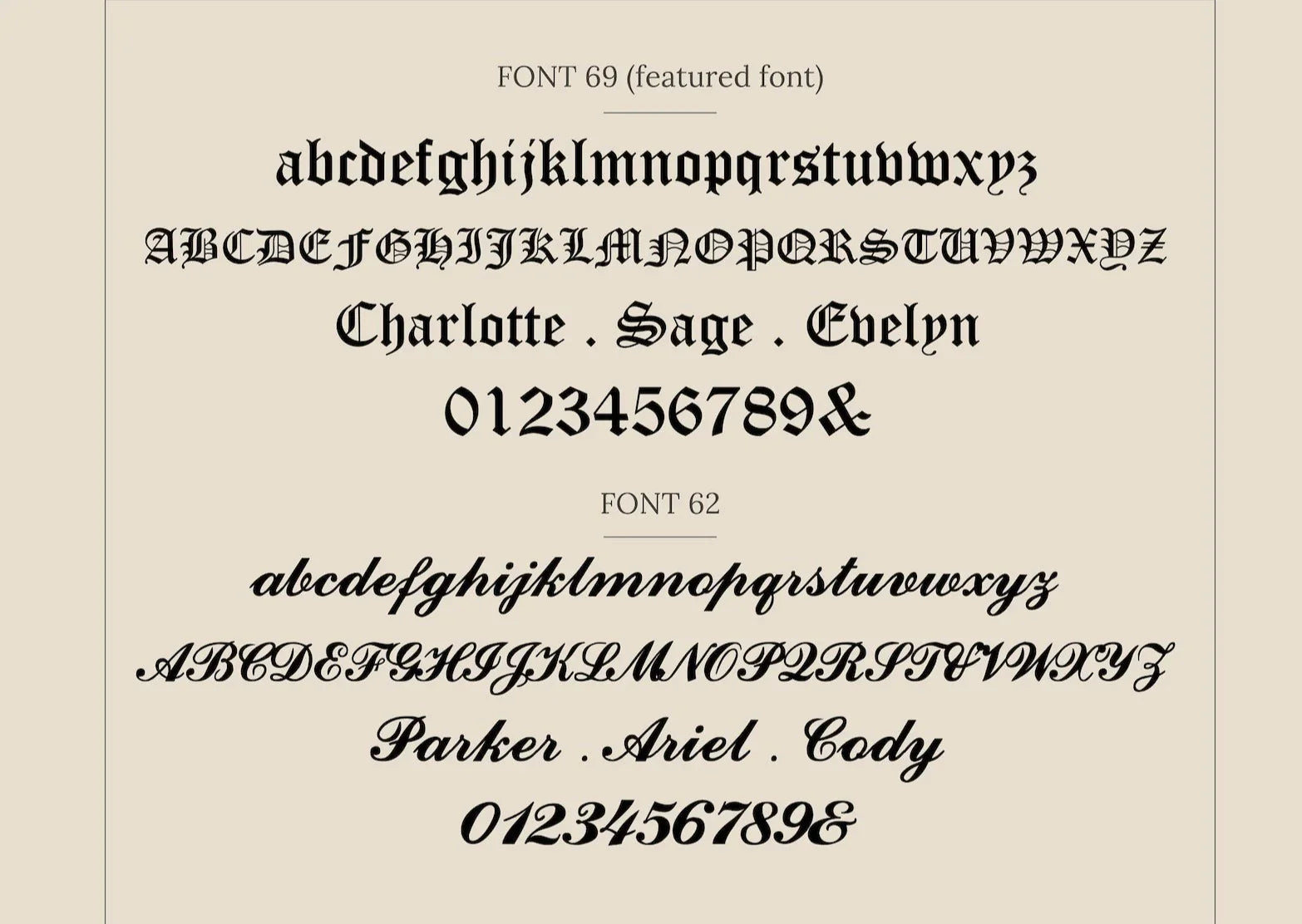 Display of two different fonts with sample text on a beige background